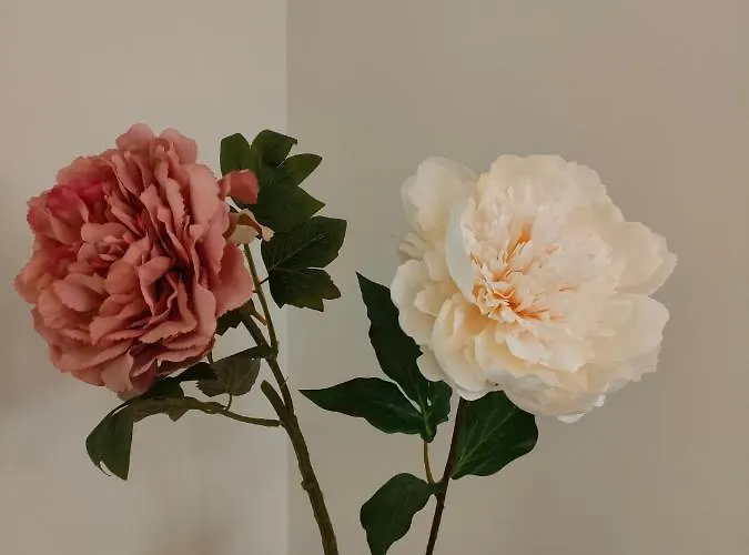 La Antigua Muralla * Burgo